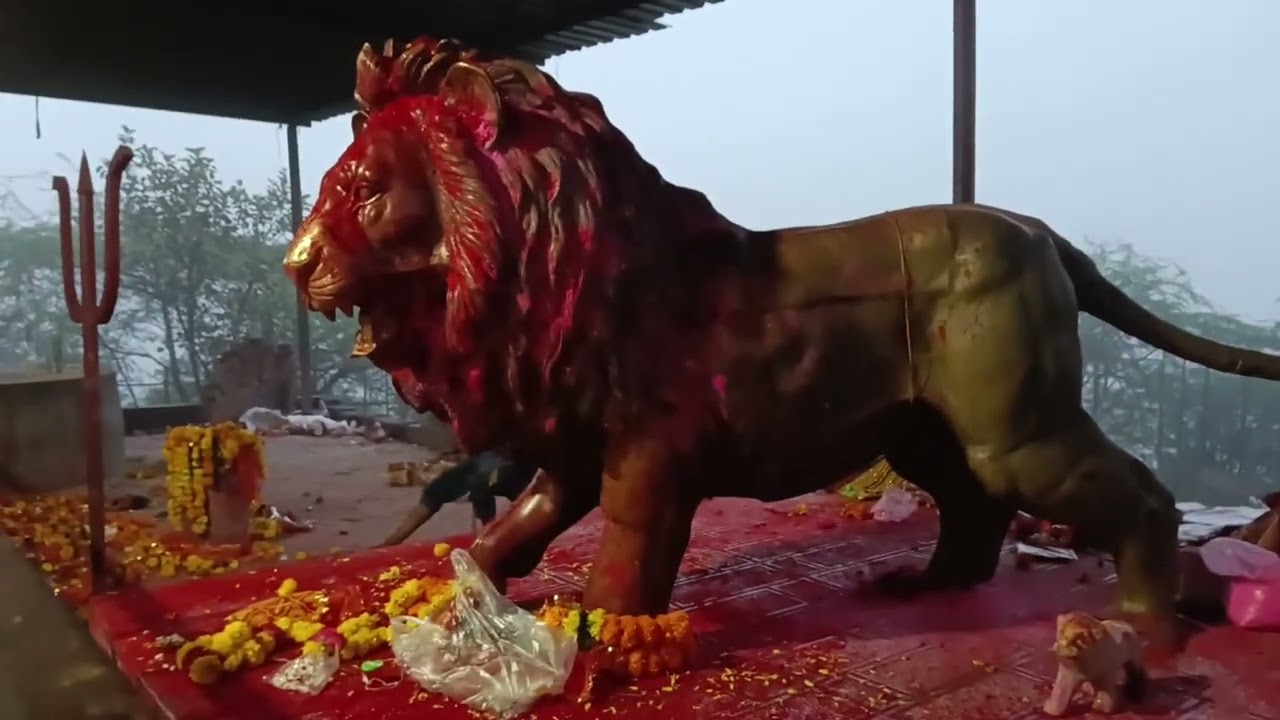🔱Shri Chamunda maa No video 🔱 mukeshbhaidabhi #trending 