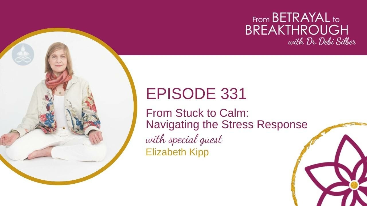 331: Rebuild, Reset, Restore with Elizabeth Kipp