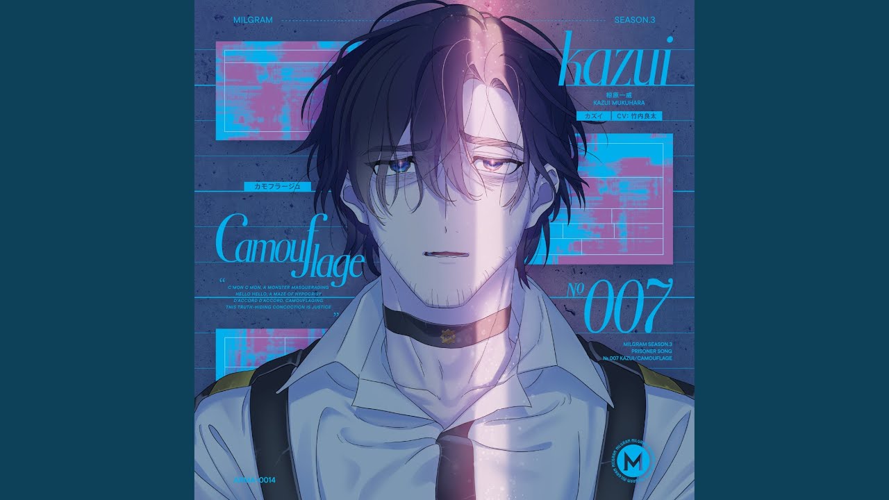 カモフラージュ