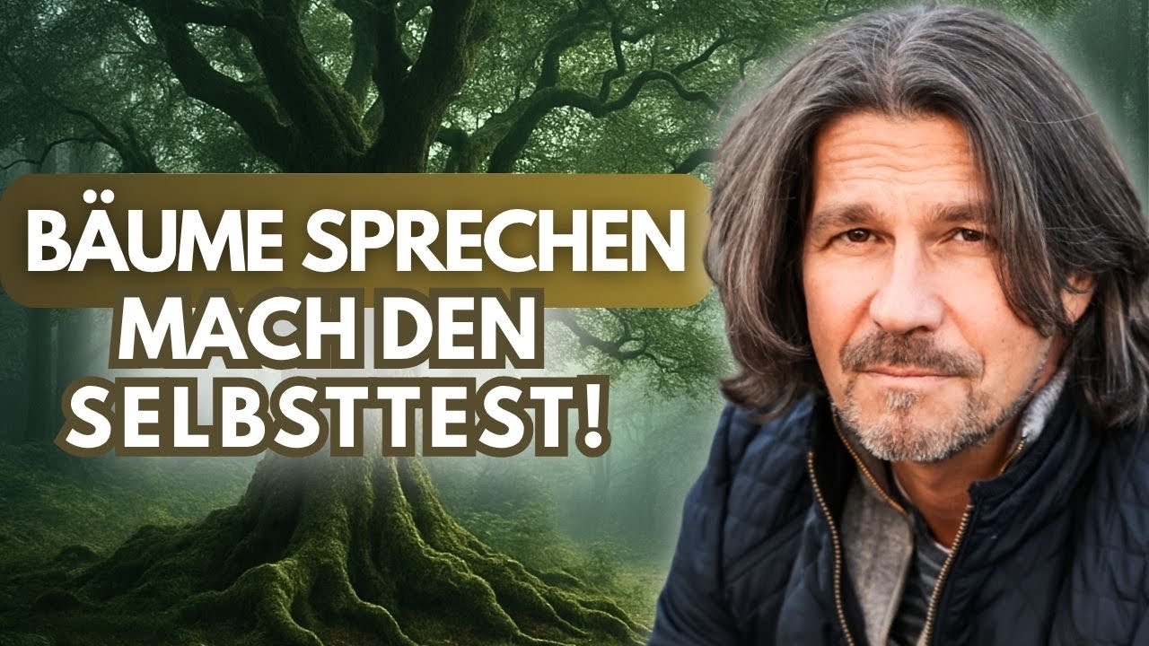 Echte Begegnung mit einem Baumgeist!