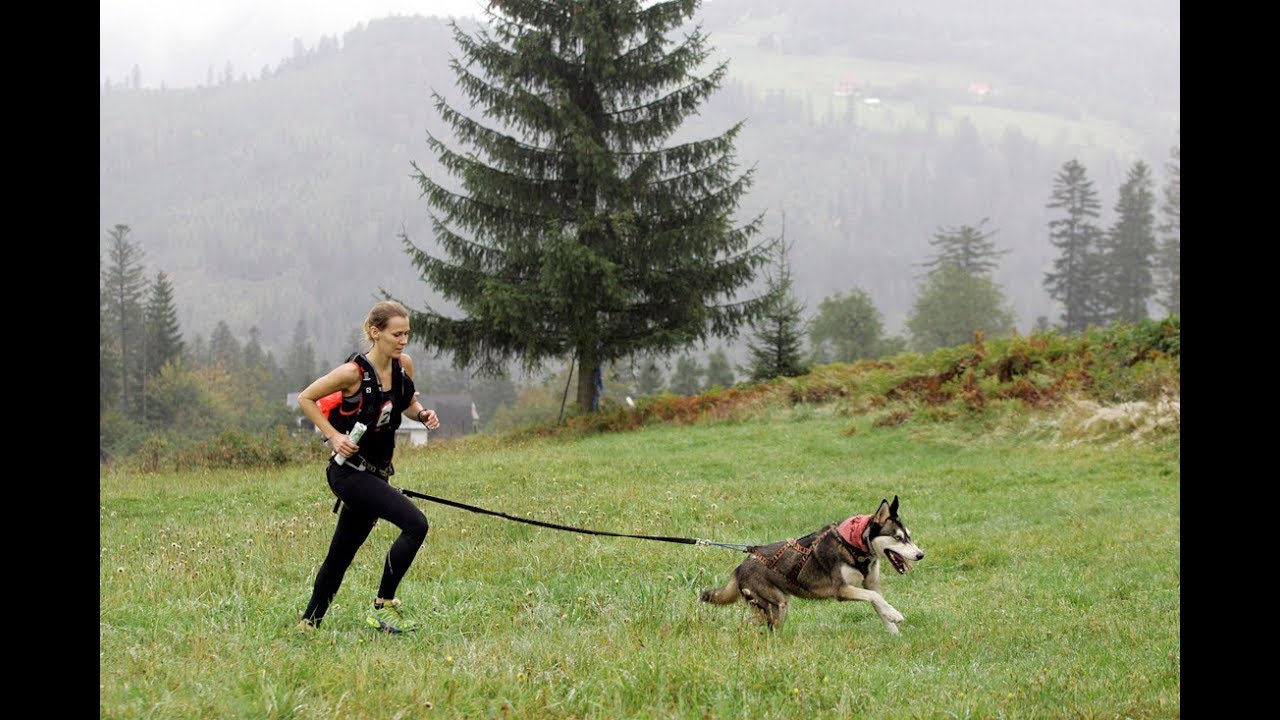 Puchar Polski w Dogtrekkingu Wisła 2018