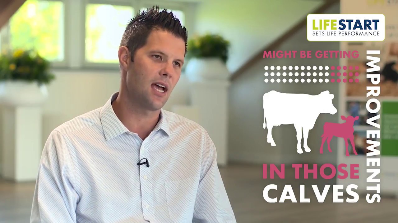 LifeStart Myth 4 | Elevated planes of nutrition has no effect on health post weaning