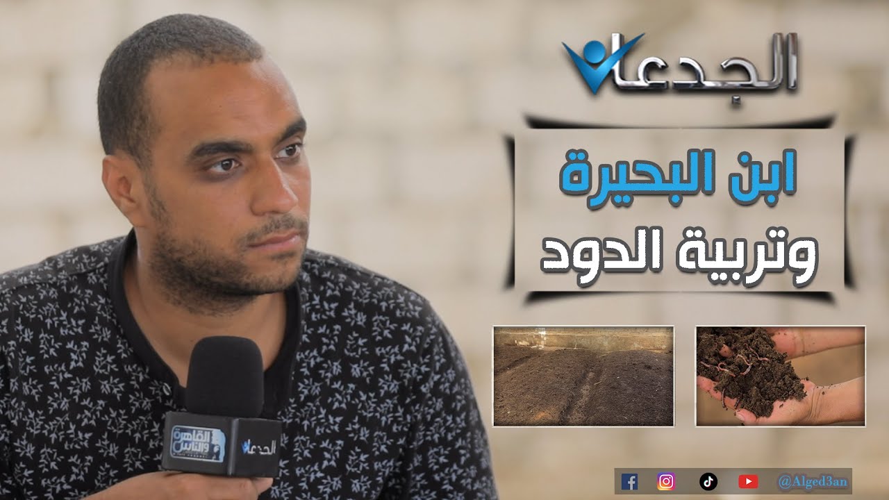 قصة نجاح.. شاب يمتلك 10 طن من دود الأرض لإنتاج أسمدة الفيرمى كمبوست.. جبار