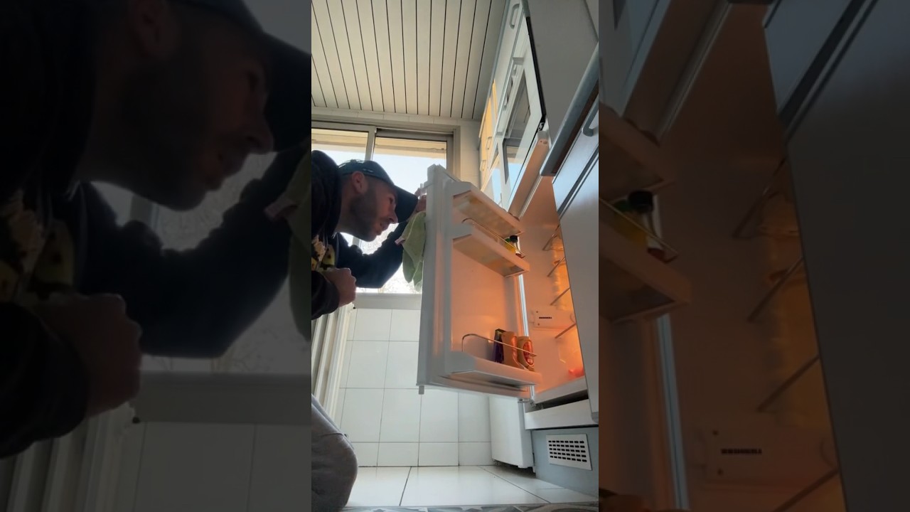 UNE ARAIGN&Eacute;E 🕷️ DANS MON FRIGO 😱 #holidayswithshorts