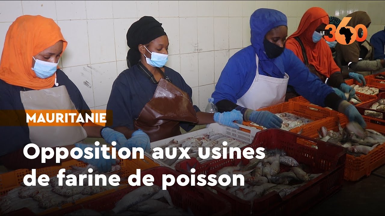 Mauritanie: satisfaction  face aux restrictions contre les usines de farine de poisson