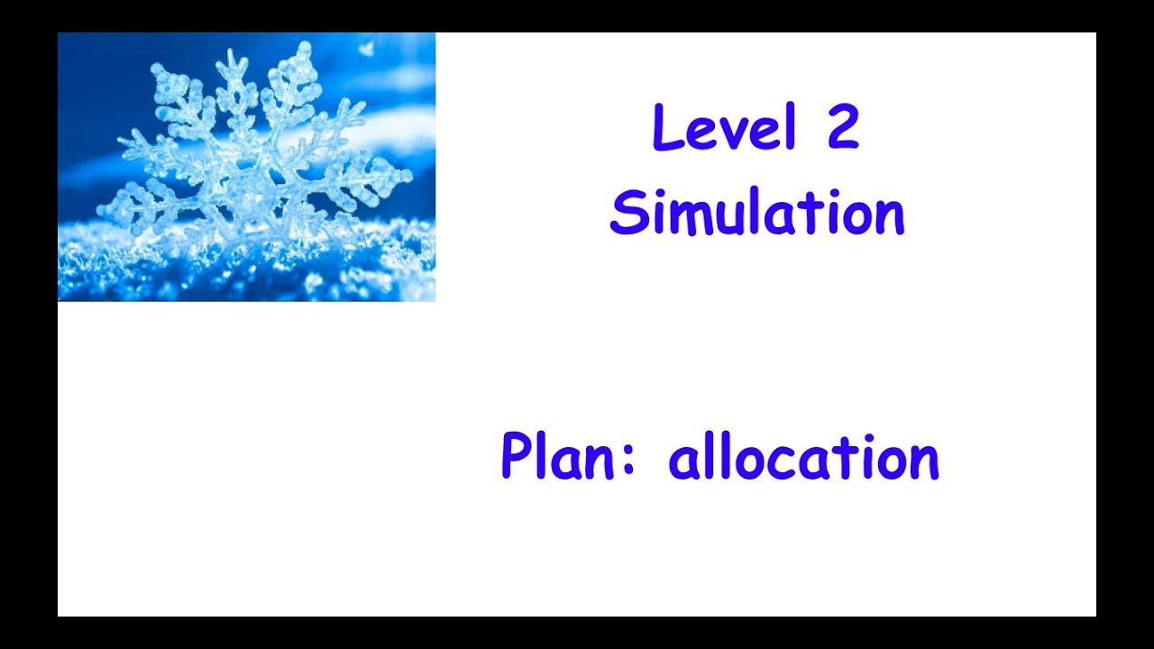 3 Plan allocation