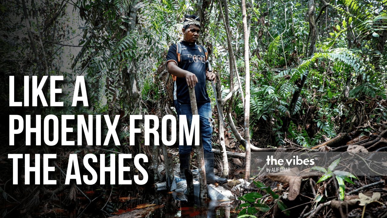 Burnt but Revived: The Tale of Kuala Langat&rsquo;s Peat Forest | VIDEO