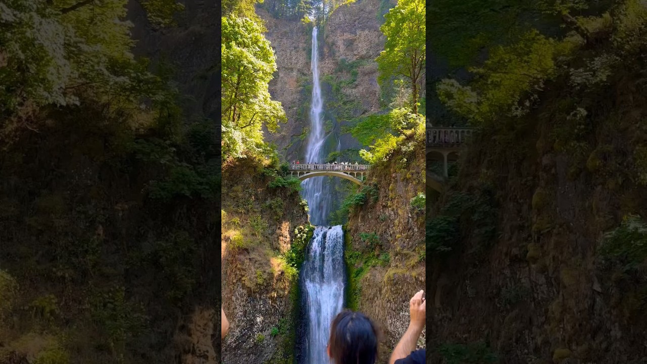 Have you been to Portland Oregon?! #family #shorts #food #vlog