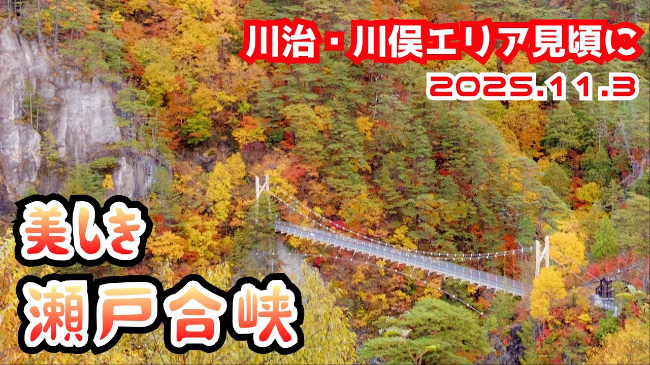【日光市 瀬戸合峡】2025.11.3 川治・川俣エリア紅葉見頃に