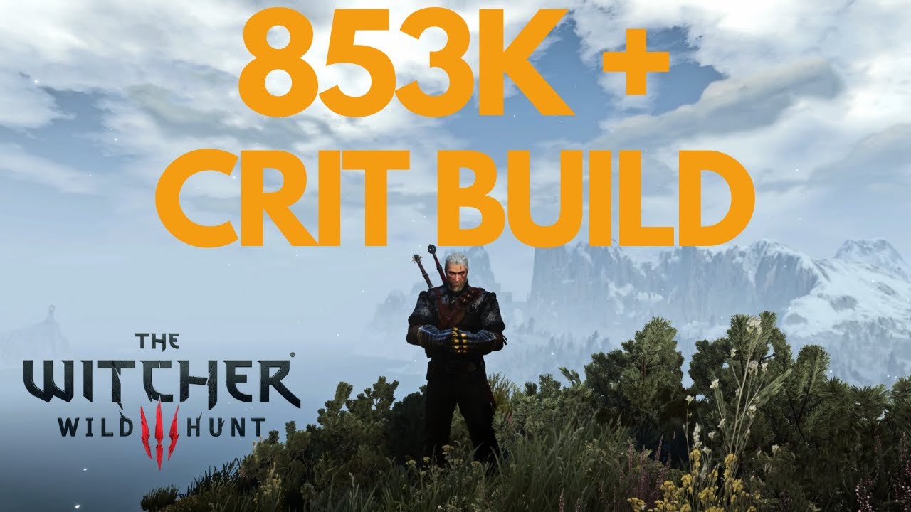 Witcher 3: Highest Damage Build (853K+)