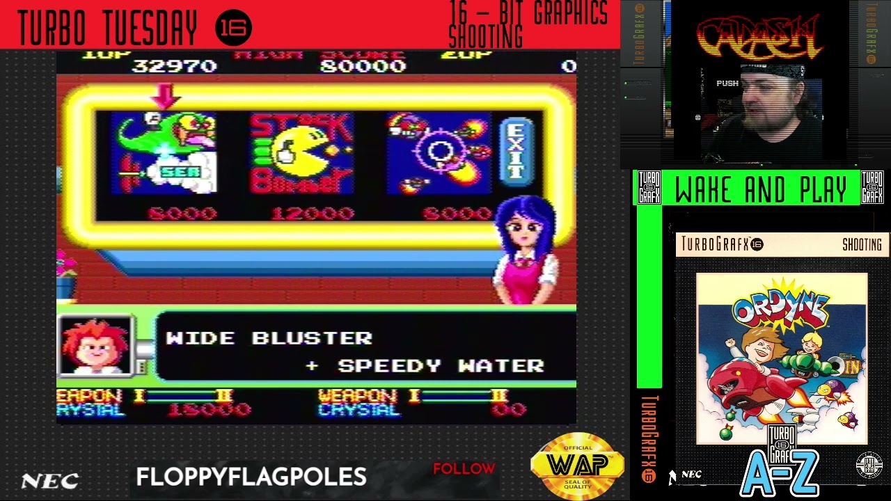 Cute' em Up Time Ordyne Real HuCard