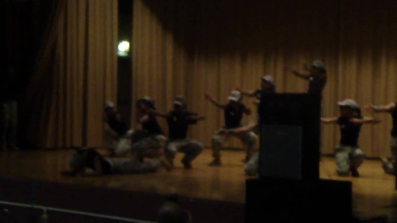 lady phoenix  steppers