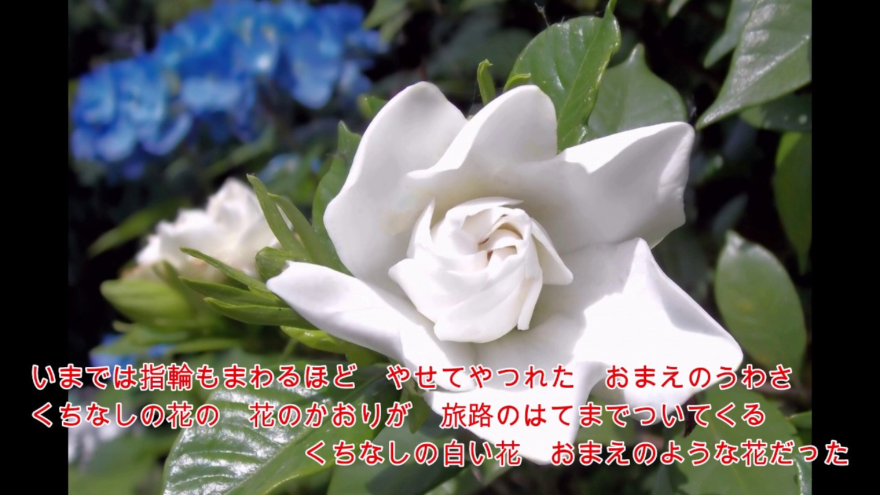 石原裕次郎、渡哲也を歌う！　くちなしの花