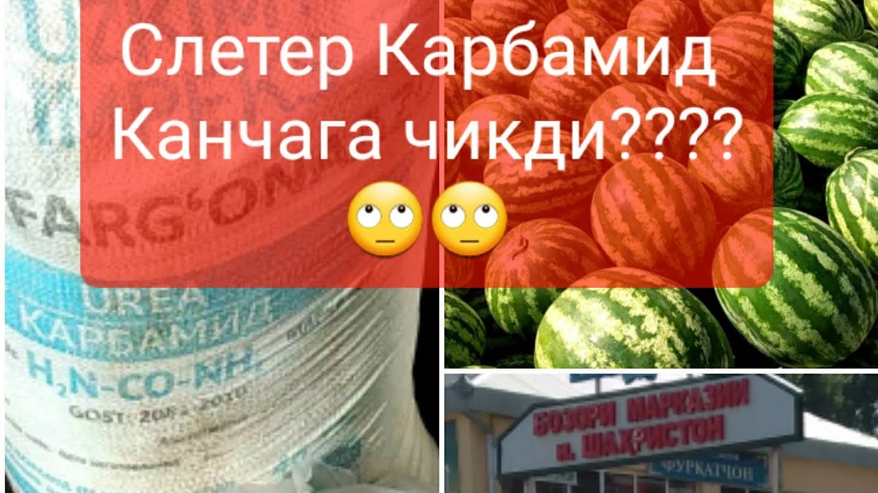 Слетер Карбамид нархлари канча булди...курамизми????