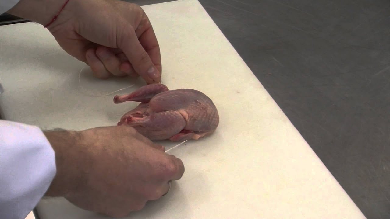 bridar un ave peque&ntilde;a con hilo