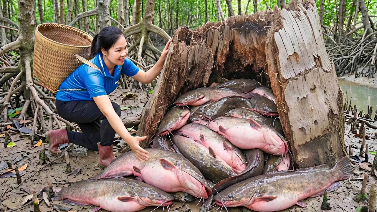 Harvest 1000+ Giant Catfish (20kg each) Go to Market Sell | 150 Days From Egg To Survivor | off grid