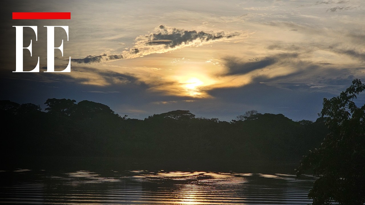 Así es hacer senderismo en Mapiripán, Meta donde el llano se une con la selva | El Espectador