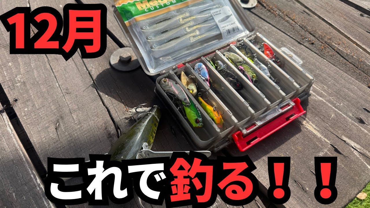 【冬のバス釣り】12月に絶対釣れるおすすめルアーで実釣。初冬のフィールドは狙えば、簡単に釣れてしまいます。寒波に強いワーム、ルアーを解説します【爆釣ルアー】【最新ルアー】