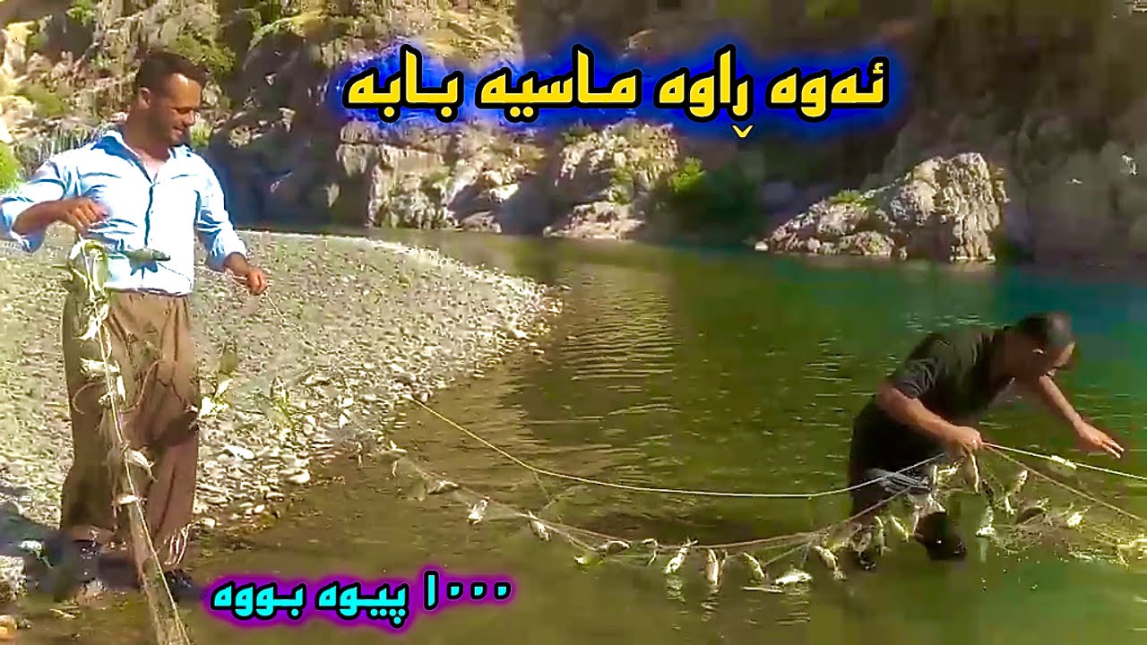 تا ئێستا دیوتە ھێندە ماسی بە تۆڕێوە ببن😱.