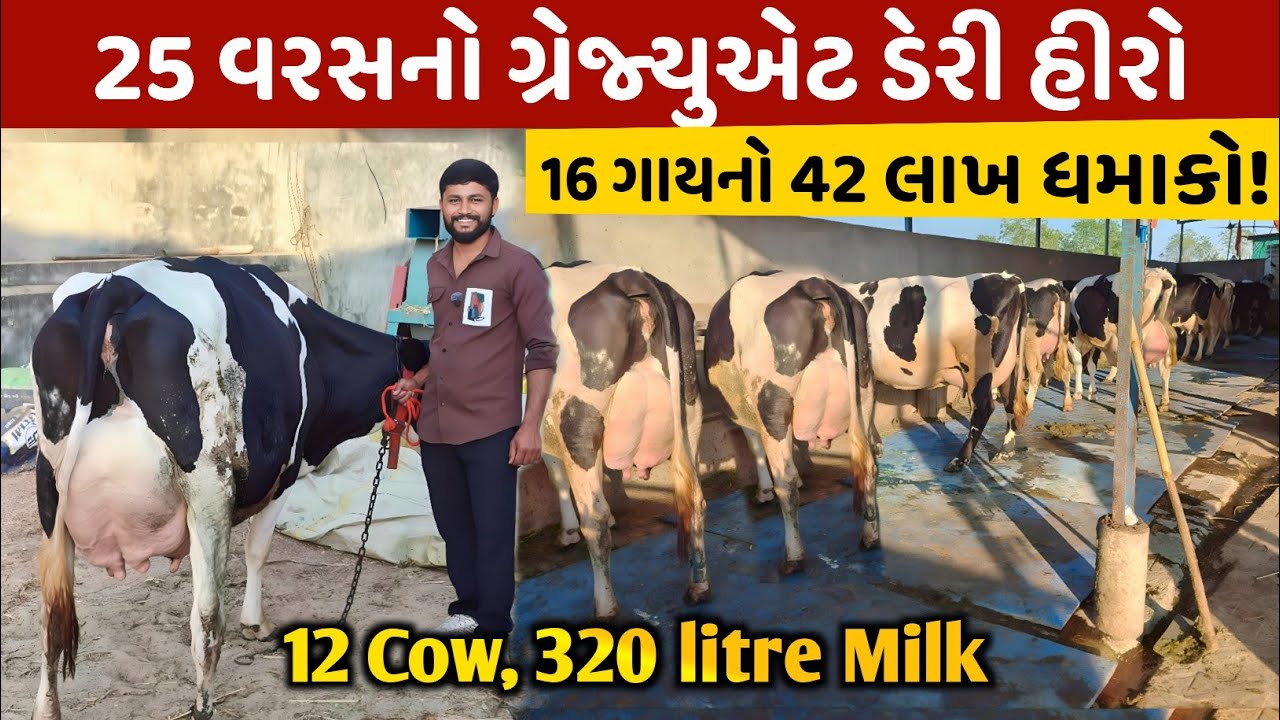 🐄 16 ગાયથી ₹42 લાખ! અત્યારે 12 ગાય = 320 લીટર 😎💪.