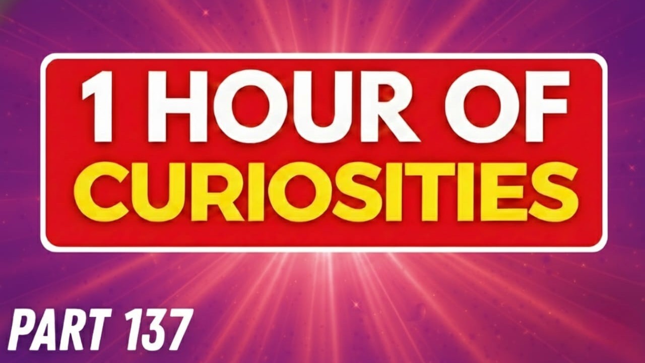 1 HOUR of AMAZING INSANE FACTS That Will Definitely Surprise You😲