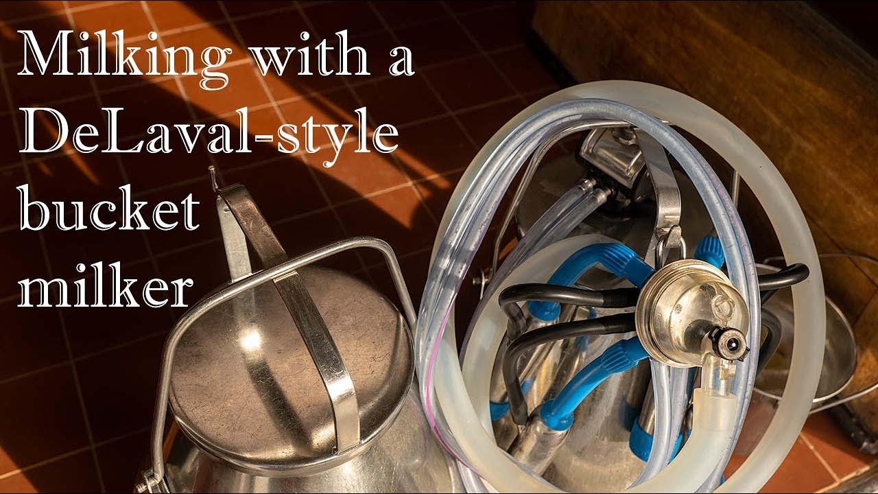 Tutorial: Milking Cows with DeLaval-style Bucket Milking System