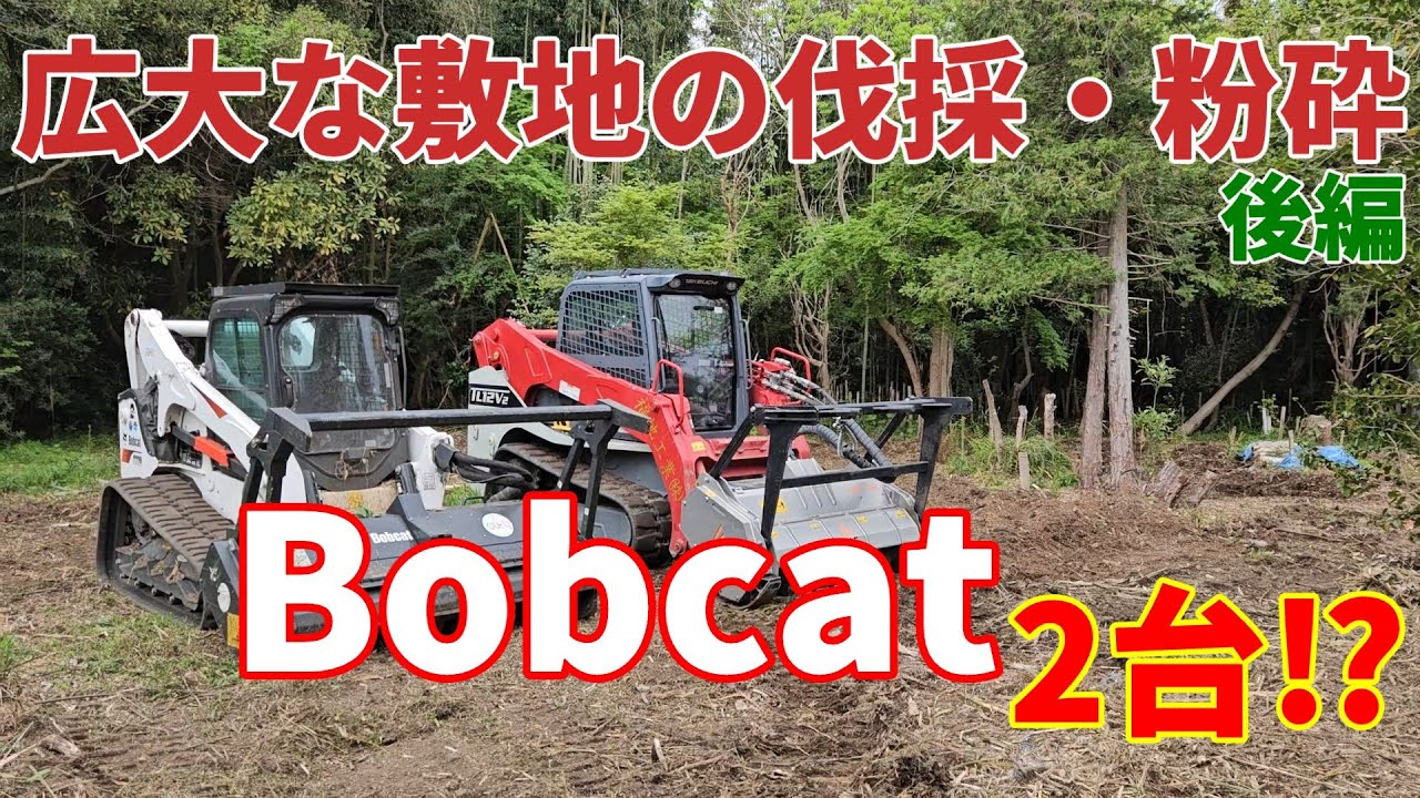 【広大な敷地の伐採・粉砕～後編～】まさか！ボブキャットが２台？福地工業㈱さんとのコンビネーション！