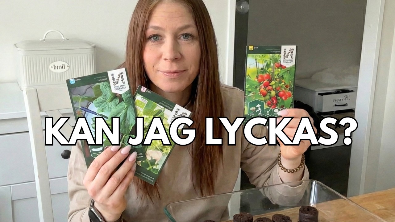 Så odlar du i lägenhet UTAN kladd! 🪴