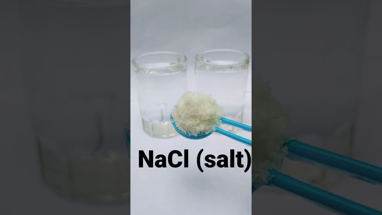 Science Experiment 🔬 🧪 #shorts #viralshorts #experiment