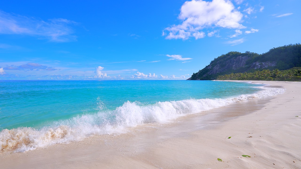 🏝 Turquoise waters of the ocean 4K Ultra HD