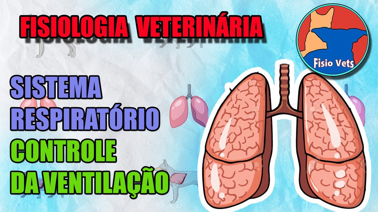 Sistema respiratório - Controle da ventilação - Fisiologia veterinária - Aula 3