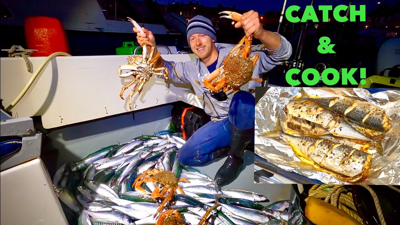 MACKEREL - Catch Clean Cook ! Spidercrab & Mackerel Fishing From a BOAT