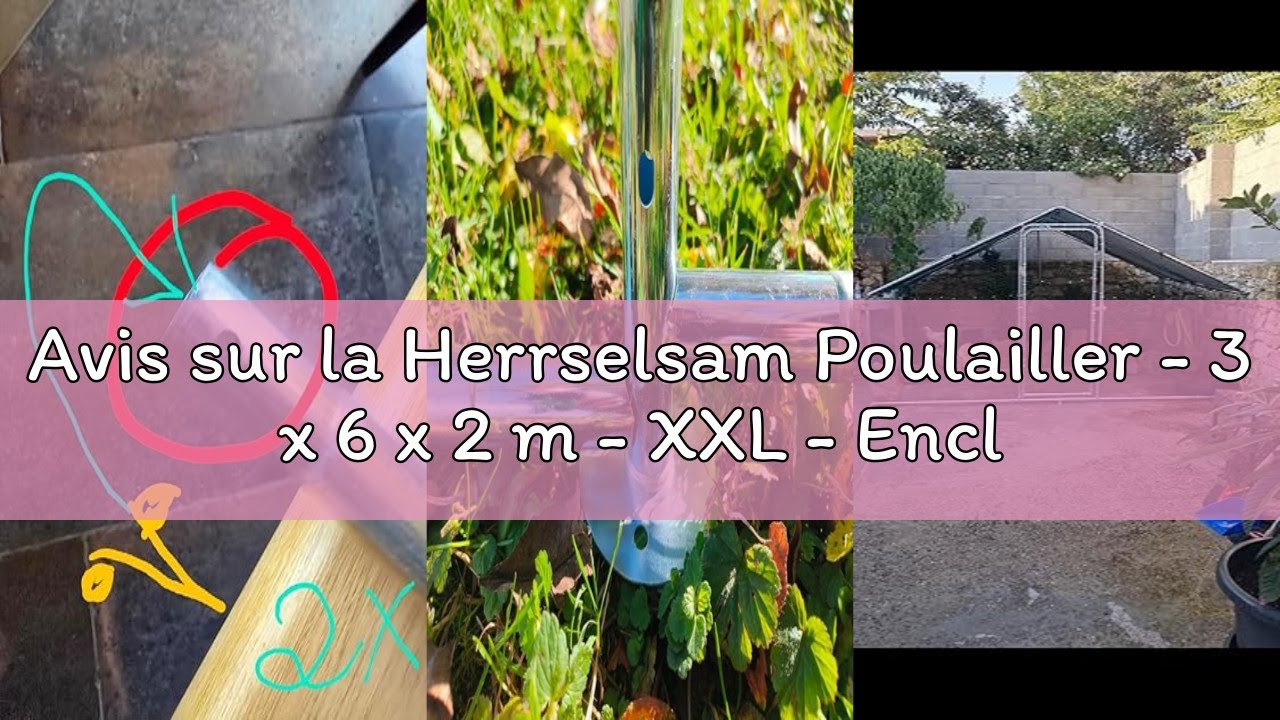 Avis sur la Herrselsam Poulailler - 3 x 6 x 2 m - XXL - Enclos avec Serrure de sécurité et Chiffon d