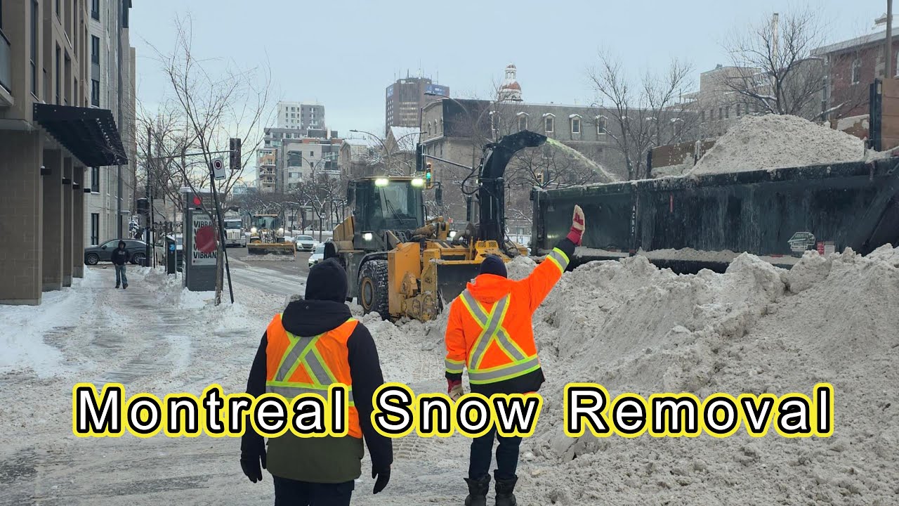 Montreal Snow Removal Jan. Winter 加拿大 蒙特利尔 冬 除雪