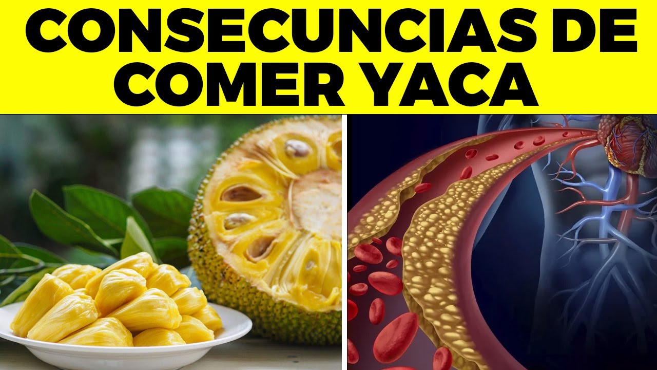 YACA ¿Para Qué Sirve? - Beneficios Para Tu Salud Y Belleza