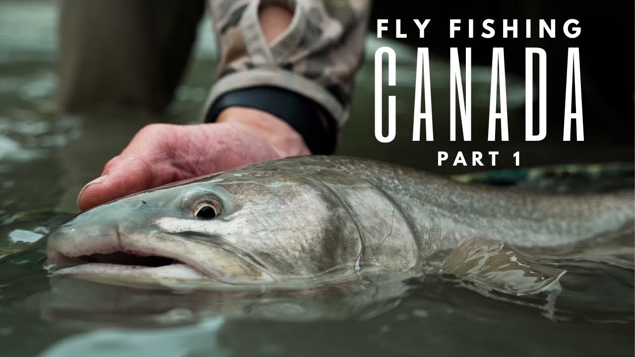 Нахлыстовая рыбалка в Канаде с Wild Fly Productions (часть 1/2)