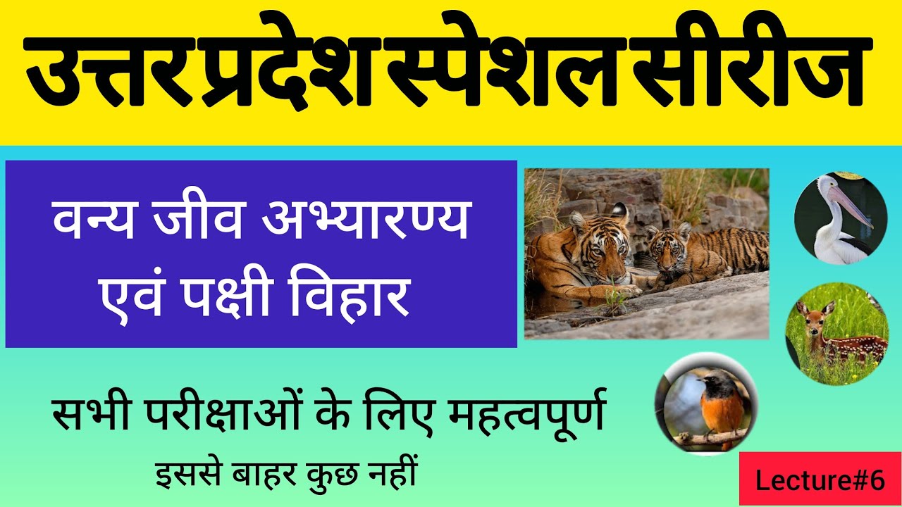 L#6 | उत्तर प्रदेश वन्य जीव अभ्यारण्य, पक्षी विहार |National Parks UP | Uttar Pradesh Special | Upgk