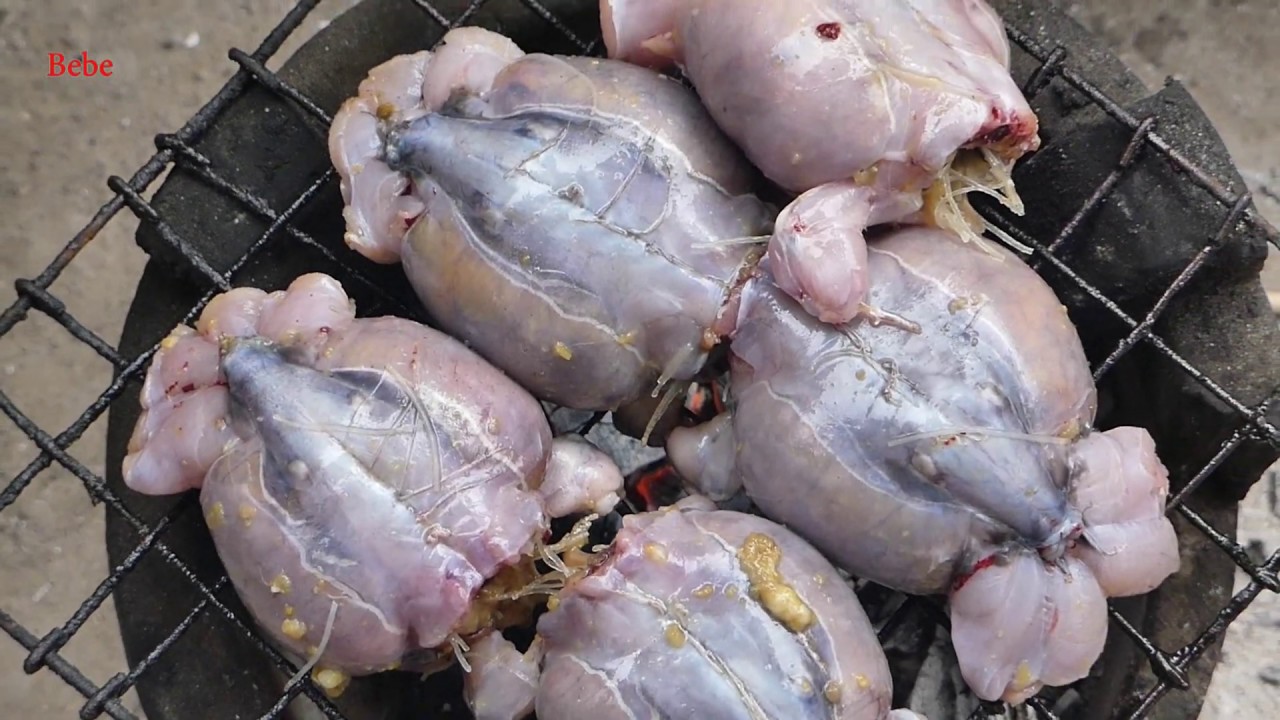 Catch n Cook Frog Recipe - Catch n Cook Frog on a Rock Recipe for Dinner and Eating Delicious