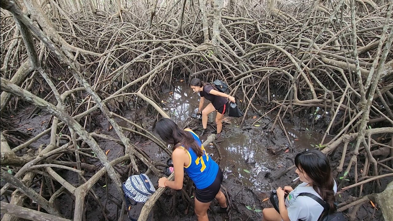 SE YEGO LA HORA DE LA VERDAD COMPETENCIA ENTRE MUJERES Y HOMBRE EN EL MANGLAR😱😍