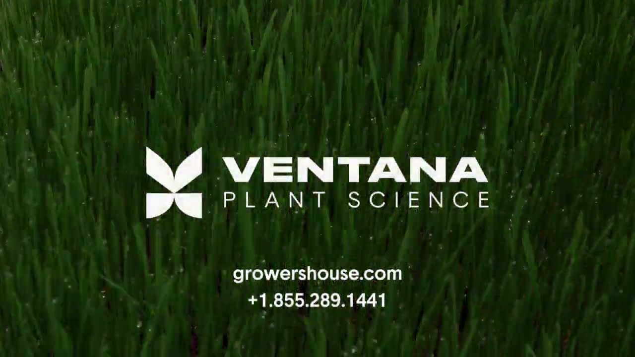 Proprietary Terpene & Yield Enhancer - by Ventana Plant Science