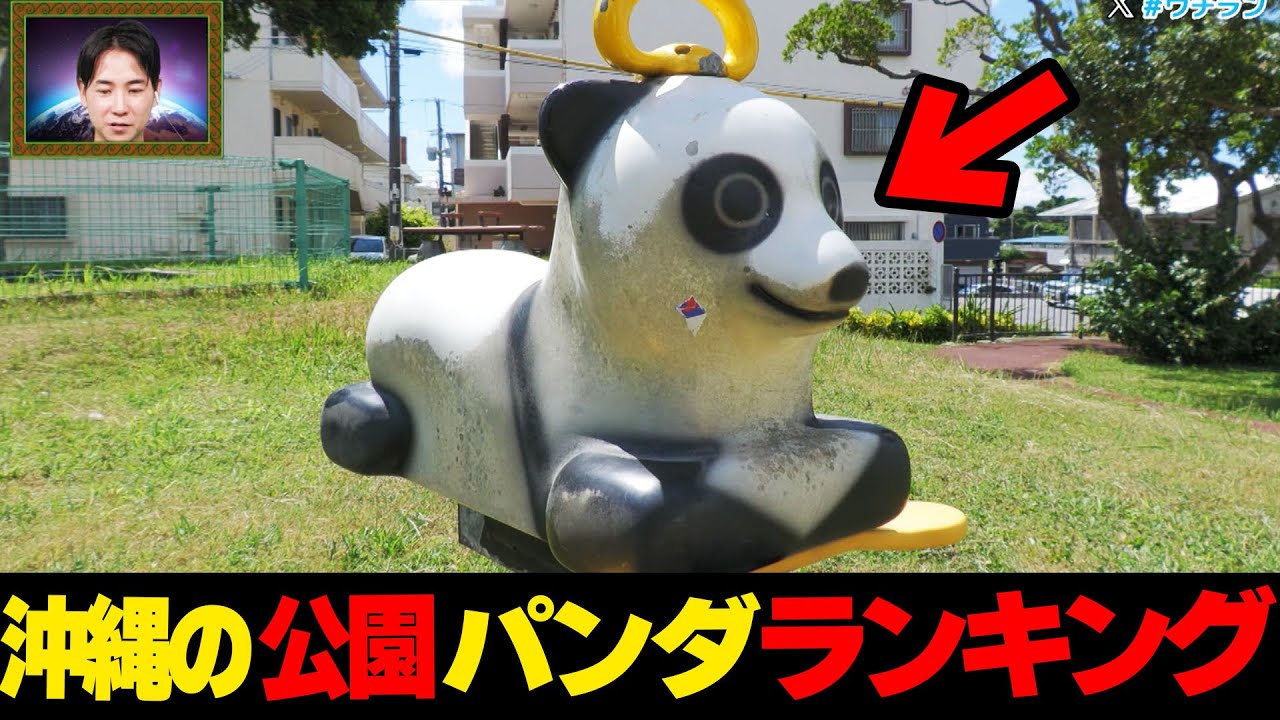 あのパンダ再び...沖縄の公園にいる変わったパンダ🐼No1.決定戦☆