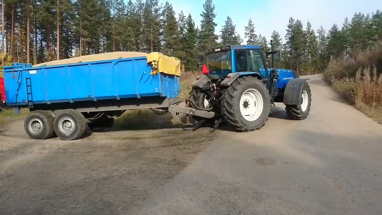 Viljaa kuivurille (Valtra 8400 ja Valtra 6800)