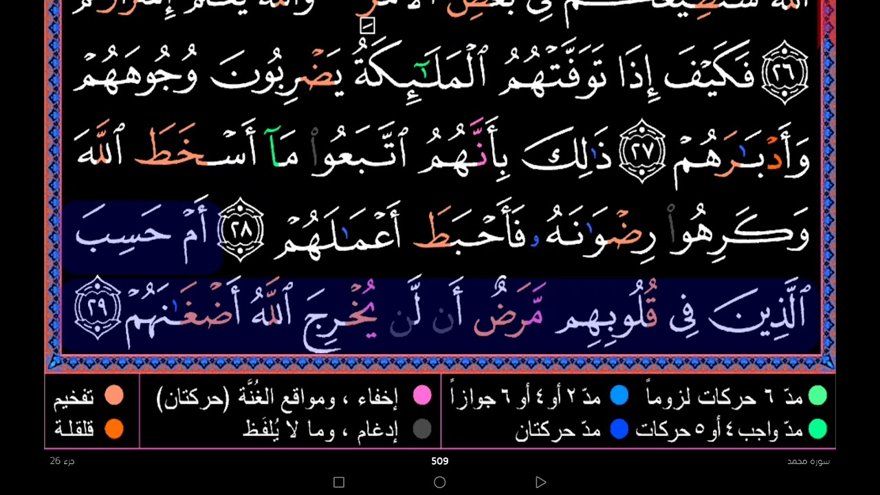 ٤٧ محمد