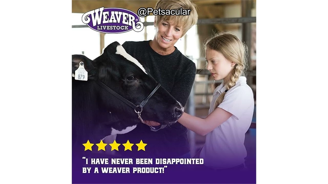 Обзор медных колокольчиков для коров от Weaver Livestock: стоит ли вкладывать деньги в ваше стадо?