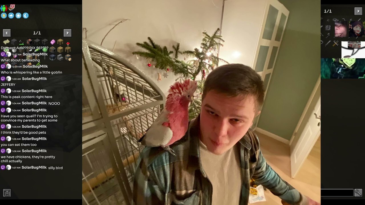 parrot