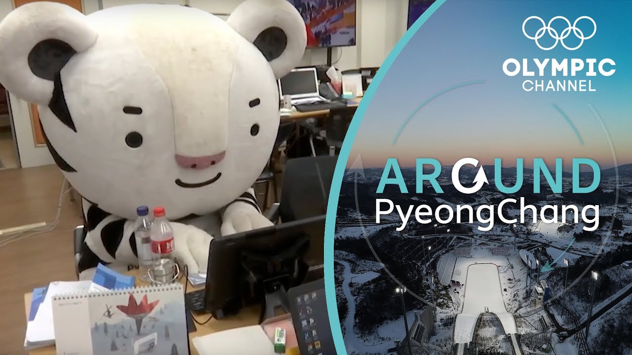 Being Soohorang, the Mascot of the Winter Olympics | Around PyeongChang