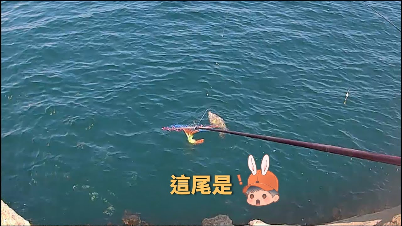 掃把剝皮現身｜水湳洞香菇頭美景釣點｜Wild Fishing in Taiwan.【嘟嘟釣魚狂 #277】