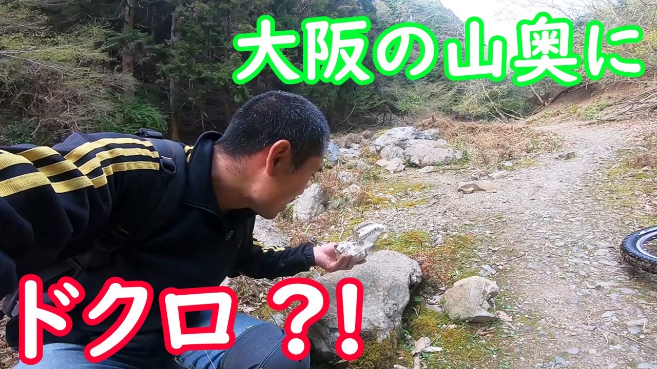 能勢妙見山裏ヒルクラから初谷ダウンヒル 沢渡あり、なぞのガイコツありのワイルドコースを行く