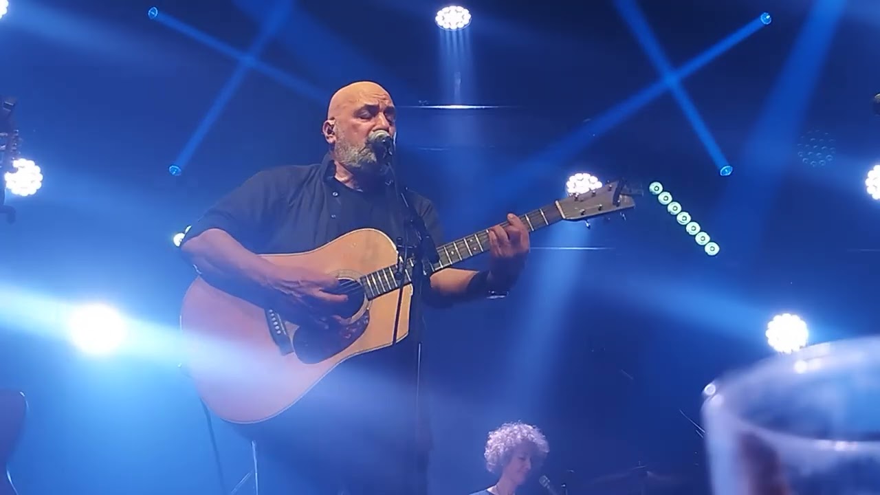 דני רובס - 