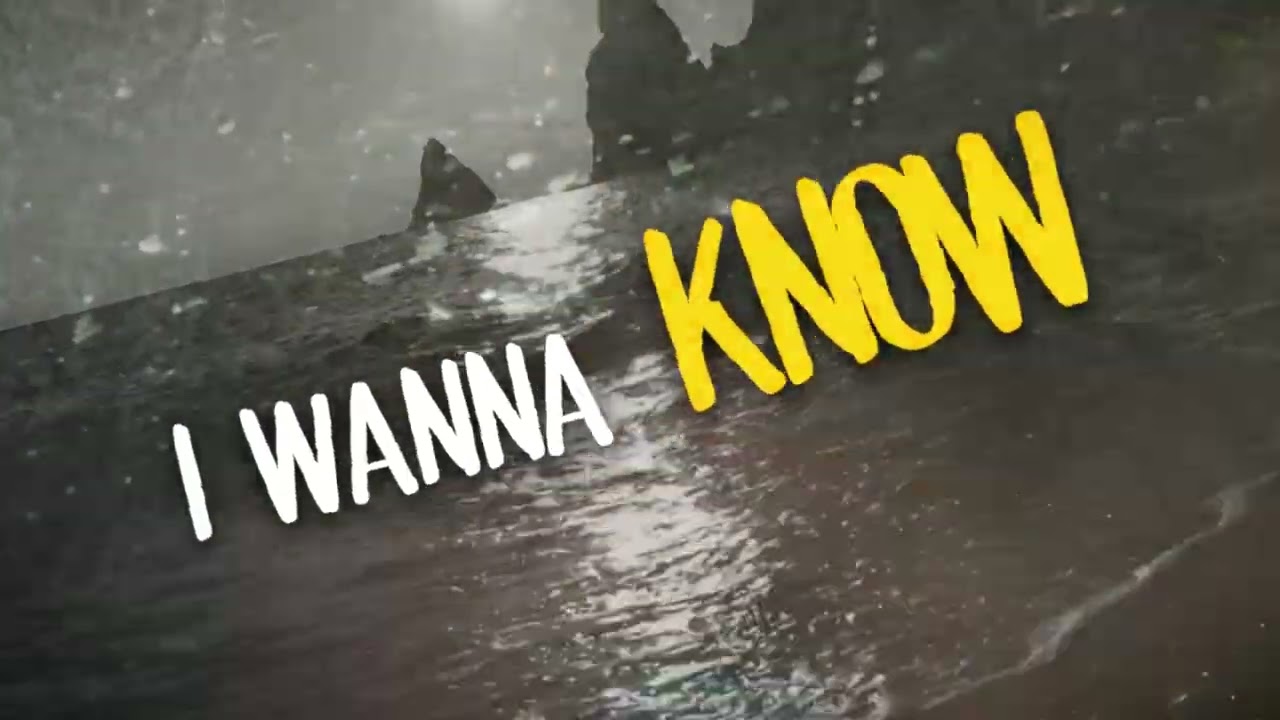 NICKOLOFF   Without You (Lyric Video)